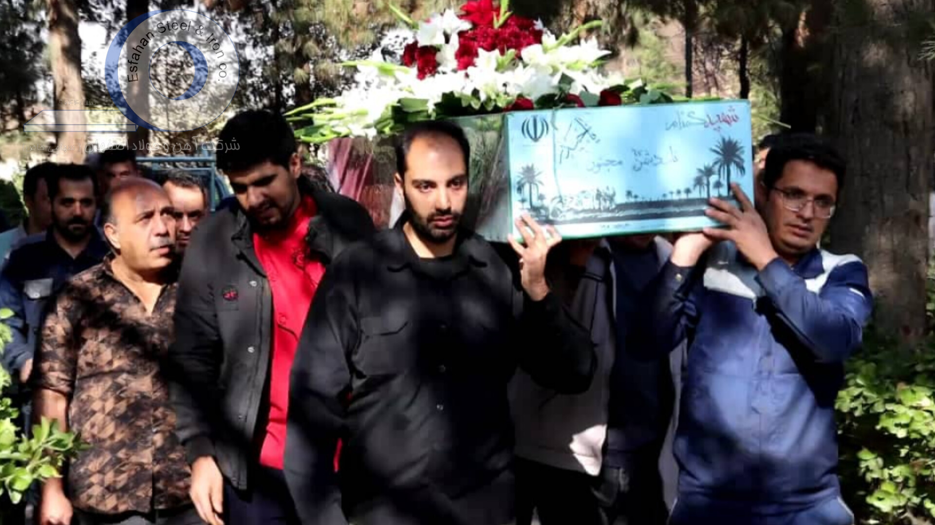 InShot 20251126 172111488